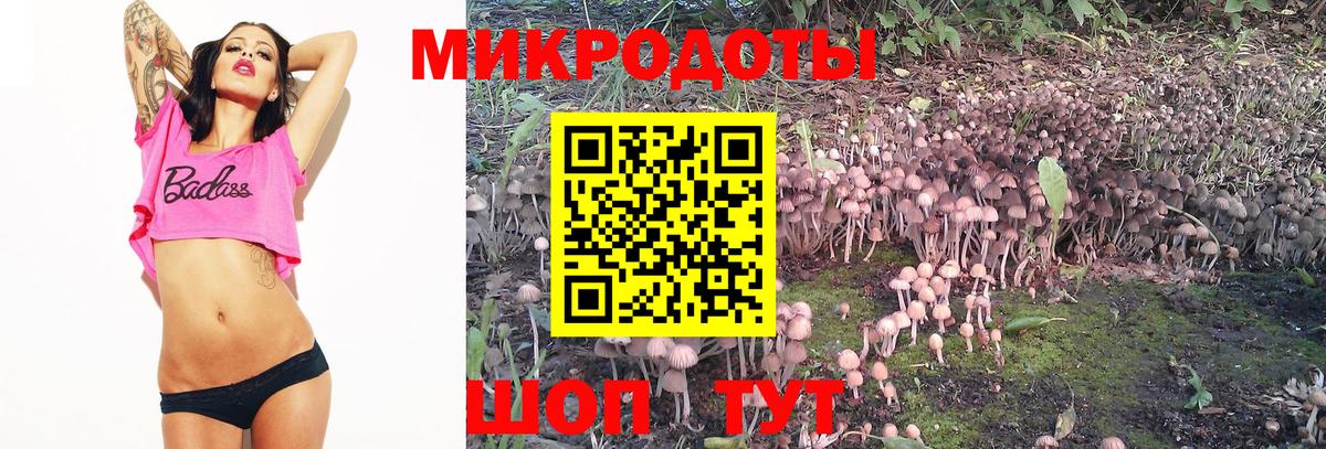 Галлюциногенные грибы мухоморы Ростов-на-Дону